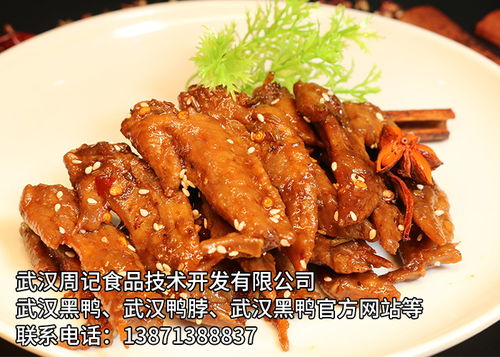 攜手武漢周記食品技術(shù)開發(fā)，共筑卓越未來(lái)